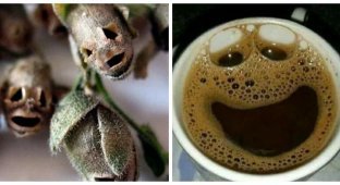 30 examples of magic Pareidolia in everyday things (31 photos)