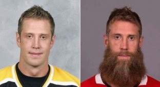 Как изменились хоккеисты NHL, отпустив бороды (10 гифок)