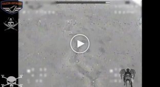 Український FPV-дрон залітає в окоп до російського військового на Запорізькому напрямку