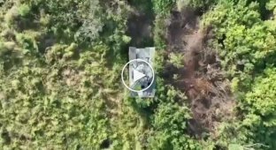 Украинский дрон уничтожает российскую БМД-4М рядом с селом Старомайорское в Донецкой области