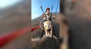 A paragliding flight with a beloved dog