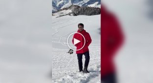 Турист хотел снять пейзаж Антарктиды, но кадр неожиданно «украли» пингвины