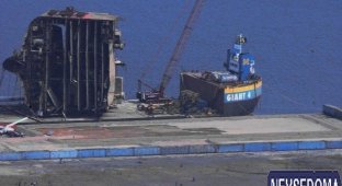 Шторм разорвал корабль напополам (7 фото)