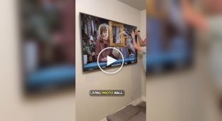 Отец сделал для детей «живые картины» из Гарри Поттера в реальности