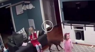 Семейные игры с собачкой
