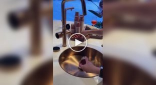 Смеситель, который варит кофе