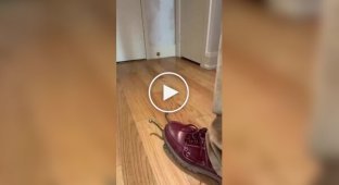 An interesting device for removing shoes