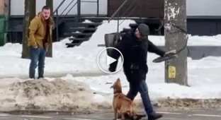 Пьяный мужчина специально натравливает свою собаку на прохожих