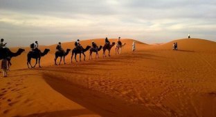 Сквозь пустыню: как выглядит жизнь погонщика верблюдов (4 фото)