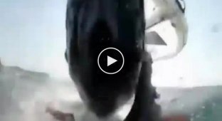 A whale hit a windsurfer and was caught on video in Australia