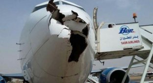 Boeing 737 после встречи со стаей птиц (3 фото)