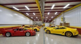 Колекцію з 46 рідкісних Ferrari пустять із молотка (10 фото)