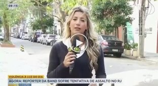 TV reporter robbed a moment before she went live