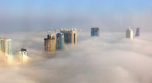  Красота. Туман в Дубаи (12 фотографий)