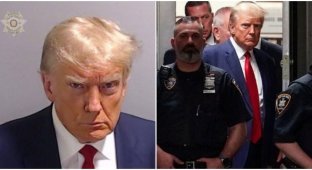 Donald Trump voluntarily surrendered to the authorities and became the main star of the Internet (11 photos)