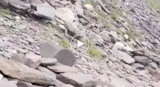 Miraculous rescue after a rockfall