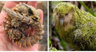 23 веских причины заново влюбиться в эту планету (24 фото)