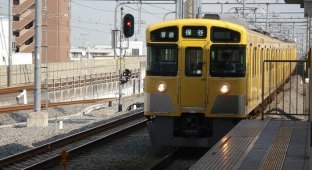 Разработанный японцами интерьера поезда... (3 фото)