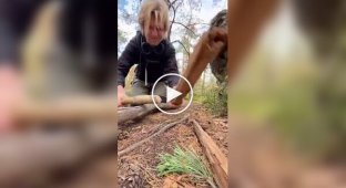 Musician showed what techno sounds like without equipment – ​​just sticks and a rhythm