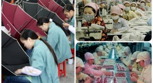Эпоха массового производства: что творится на азиатских фабриках? (18 фото)