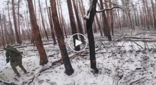 Footage of close combat in the Kremensky forest, Lugansk region