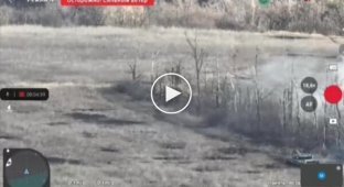 Two Ukrainian tanks clear the forest belt from invaders