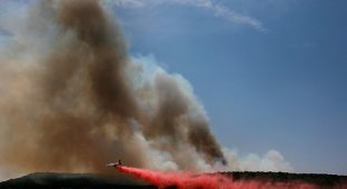 Лесные пожары в Техасе (26 фото)
