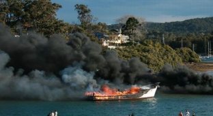 Пожар в Сиднее (7 фотографий)