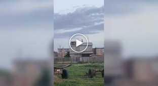 A flock of sheep climbed onto the roof of the hayloft and could not get down