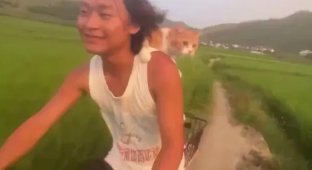 Навстречу приключениям (2 фото + 1 видео)