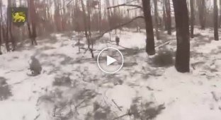 The battle of soldiers of the 60th Mechanized Infantry Brigade with the invaders during the assault on enemy positions in the forest in the Kupyansky direction