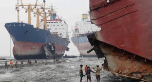 Место, где умирают суда (2 фото + 2 видео)