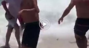 Разозленный тюлень прогоняет с пляжа людей