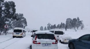 Unexpected snow fell in South Africa (4 photos + 5 videos)