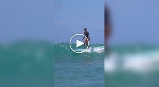 Slender girl balances perfectly on the board