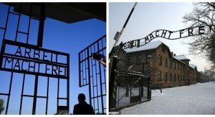 В Польше задержали туристку, отдавшую нацистское приветствие у ворот Аушвица (3 фото)