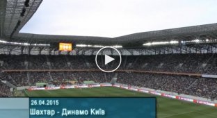 Фанаты Динамо Киева на матче Динамо - Шахтер
