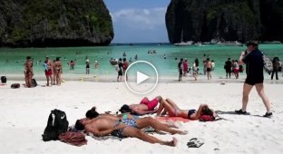 Знаменитый таиландский пляж оккупировали сотни акул