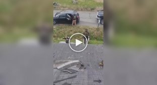 Американка сдала рабочих в миграционную службу, чтобы не платить им за работу