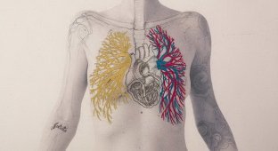 Биологическая : чилийская художница размещает на черно-белых снимках человека органы и вены (13 фото)