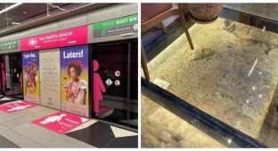 17 curious chips from around the world (18 photos)