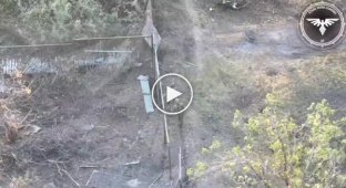 Two occupiers die under a fence after an attack by a Ukrainian drone