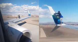 Побег из Вегаса: американец попытался улететь на крыле самолета (3 фото + 1 видео)