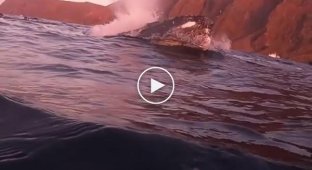 Humpback whale swam past divers