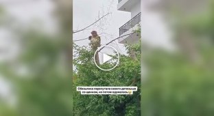 Обезьянка перепутала своего детеныша со щенком, но потом одумалась