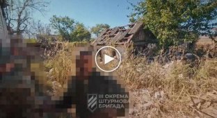 Fighters of the 3rd separate assault battalion successfully counterattacked the positions of the occupiers in the Kharkiv region and captured several Russians