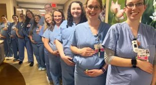 14 nurses became pregnant at the same time in a hospital (3 photos)