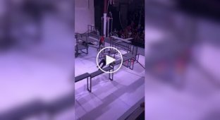 У США пройшов чемпіонат світу з екстремальних салків