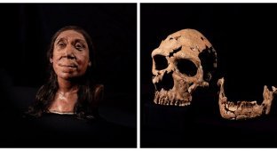 Scientists have recreated the appearance of a Neanderthal woman based on her skull (7 photos)