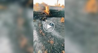 Знищена російська МТ-ЛБ із десантом у селі Роботине Запорізької області